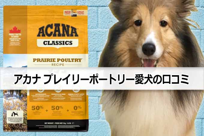 アカナ　プレイリーポートリー愛犬の口コミ