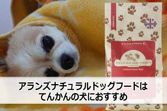 アランズナチュラルドッグフードはてんかんの犬におすすめ