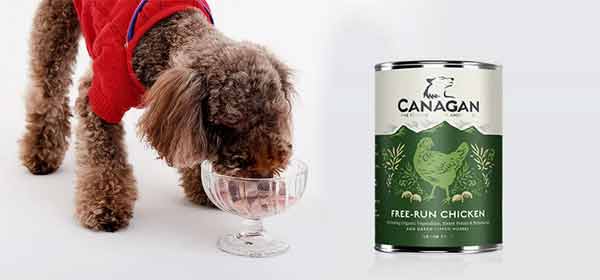 カナガンウェットフード犬用タイプの給餌量イメージ