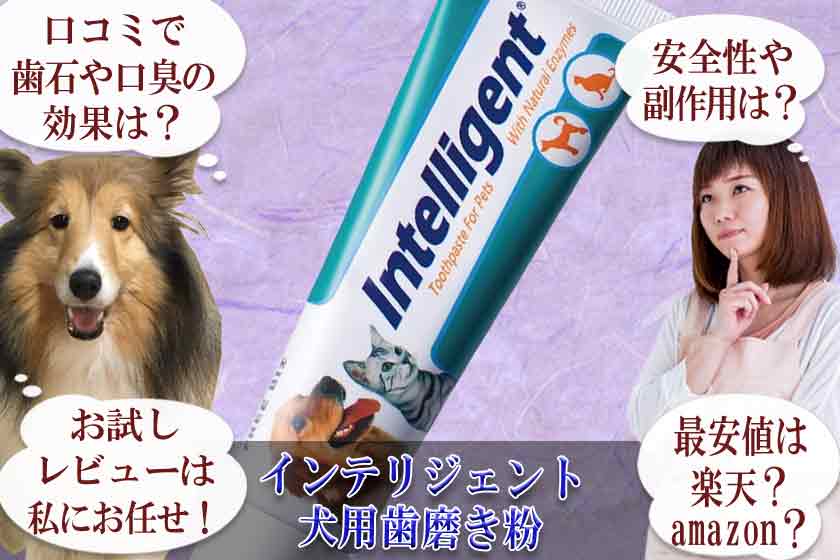 インテリジェント犬歯磨き粉　口コミ