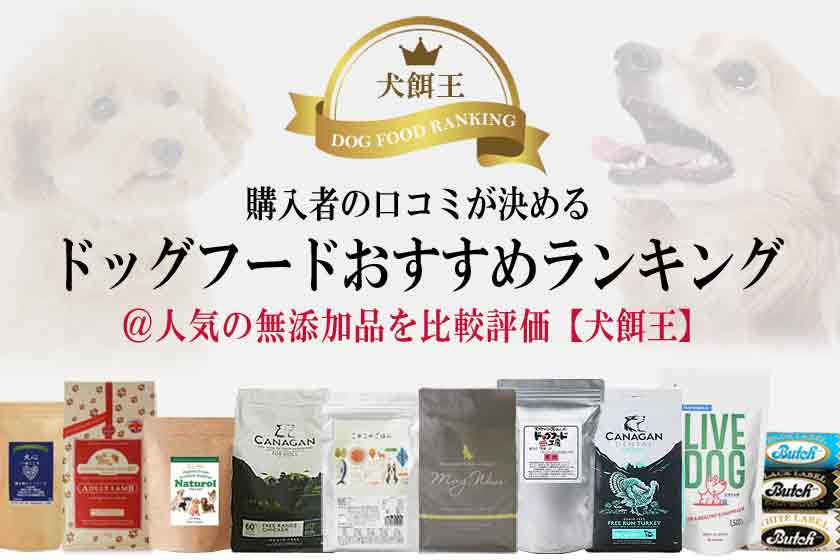 ドッグフードおすすめランキング 人気の無添加品を比較評価 犬餌王