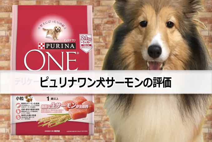 ピュリナワン犬サーモン評価