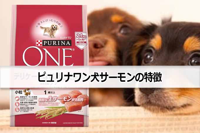 ピュリナワン犬サーモン特徴