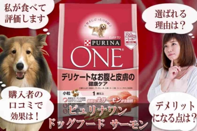 ピュリナワン犬サーモンの評価！私の試した結果が辛かった！