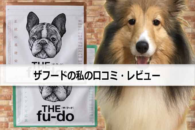 私の愛犬とザフード